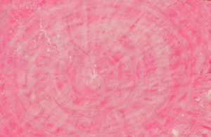 2015, oil on drawing paper